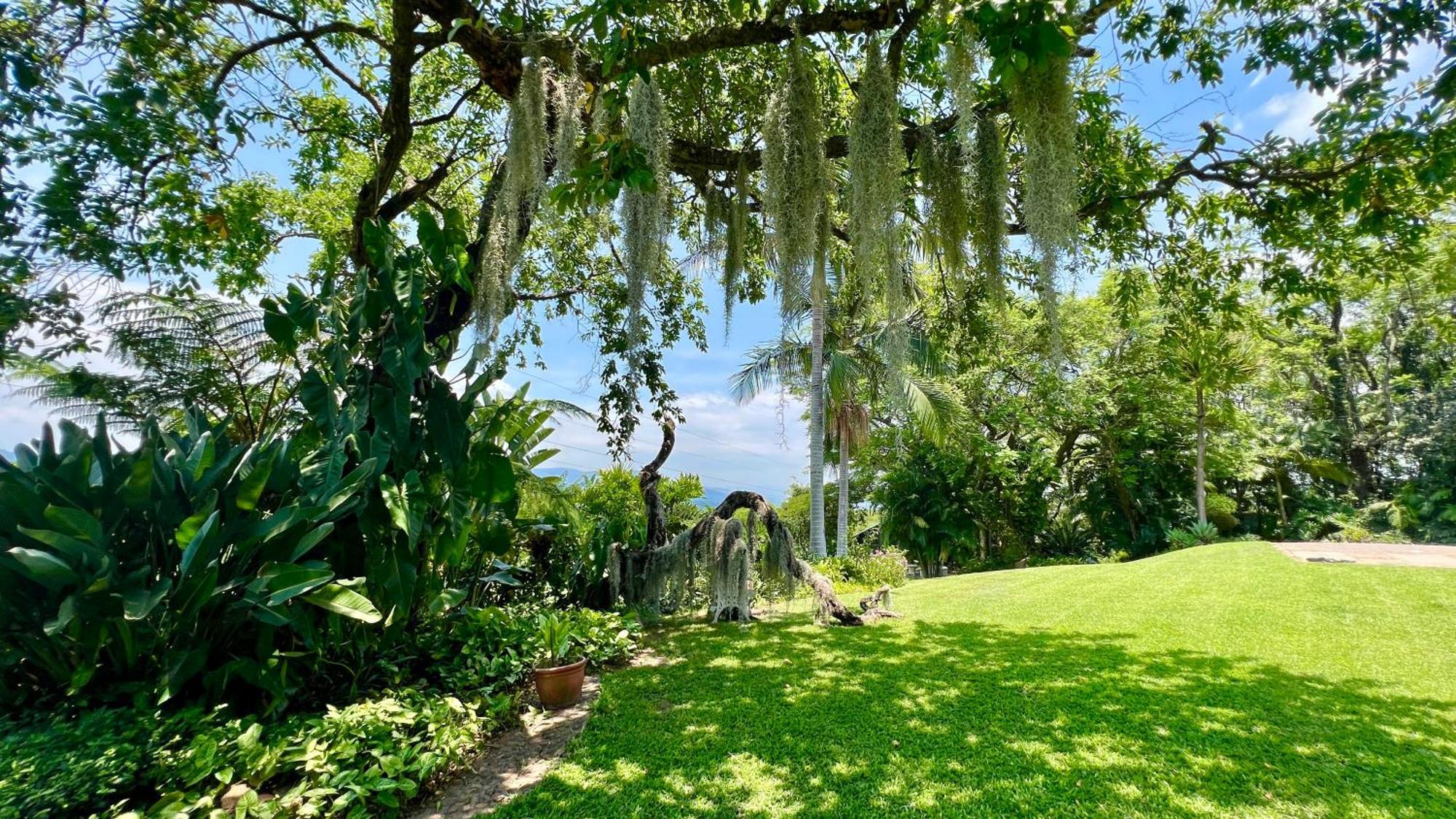 Loerieroep Estate - Mountainview Accommodation Nelspruit Mbombela Extérieur photo